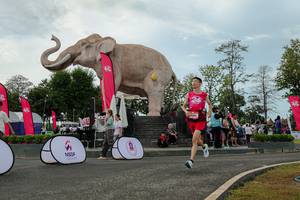 BIB: 
                            <button type="button" onclick="openModal(26528912)" class="btn btn-primary btn-sm float-right btn-popup" data-toggle="modal" data-target=".modal-high-quality">
                        <i class="fas fa-shopping-cart"></i> Add to Cart
                    </button>
                                            <button type="button" onclick="isThisMe(26528912, true)" class="btn btn-success btn-sm float-right btn-popup btn-isme hidden" data-toggle="tooltip" data-placement="bottom" title="นี่คือรูปของคุณใช่ไหม คลิกที่นี่เพื่อเอาเข้าอัลบั้ม">
                        <i class="fas fa-plus"></i> Add to album
                    </button>
                    <button type="button" onclick="isThisMe(26528912, false)" class="btn btn-warning btn-sm float-right btn-popup btn-isnotme hidden">
                        <i class="fas fa-ban"></i> Remove from album
                    </button>